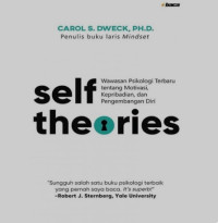 Image of Self Theories